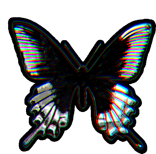 Detail Butterfly Transparent Gif Nomer 48