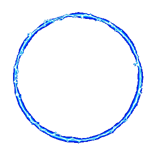 Circle Gif Transparent - 55+ Koleksi Gambar