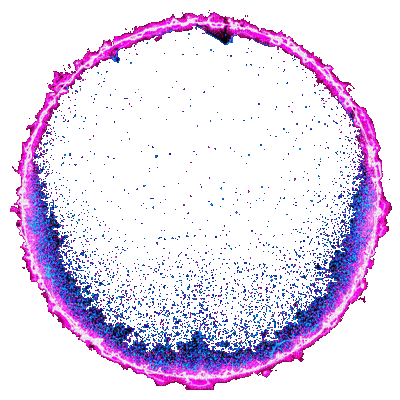 Detail Circle Gif Transparent Koleksi Nomer 28