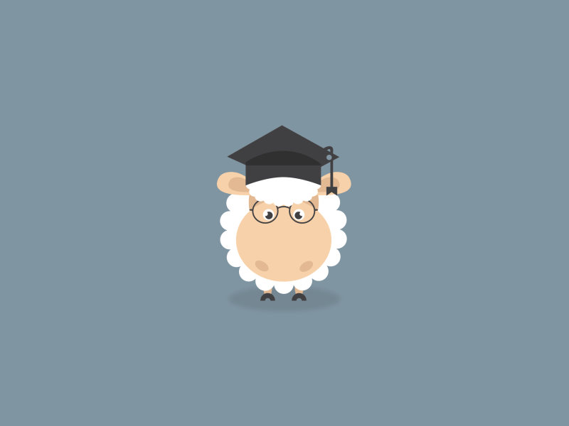 Detail Correct Answer Gif Nomer 50