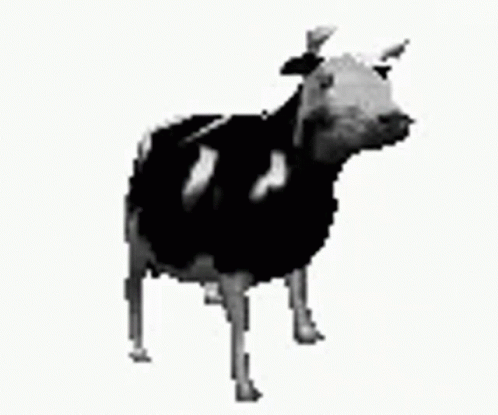Detail Cow Funny Gif Nomer 53
