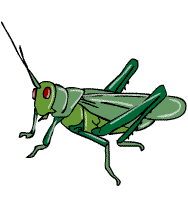 Detail Cricket Insect Gif Nomer 11