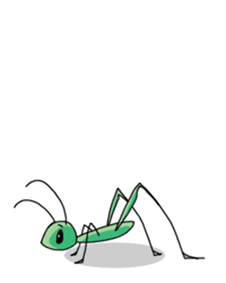 Detail Cricket Insect Gif Nomer 7