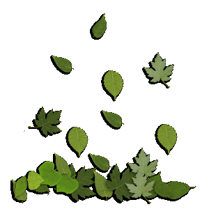 Daun Animasi - KibrisPDR