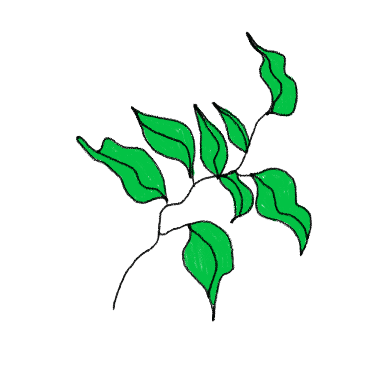 Detail Daun Daun Kartun Nomer 20