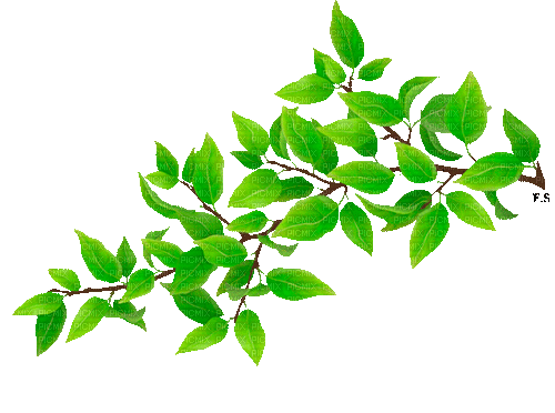 Detail Daun Gif Nomer 3