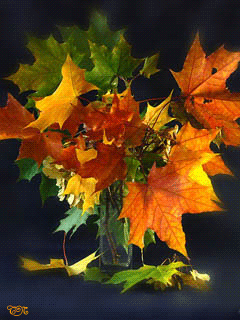 Detail Daun Gif Nomer 21