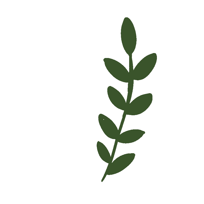 Detail Daun Gif Nomer 26