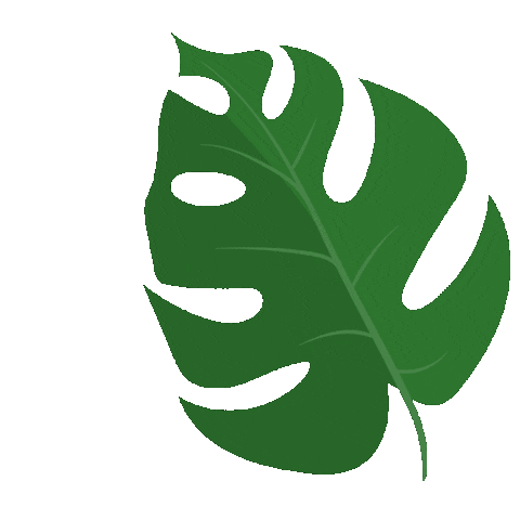 Detail Daun Gif Nomer 27
