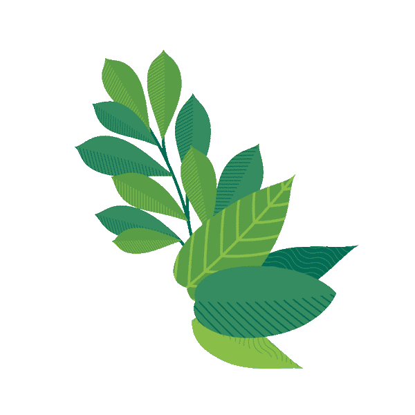 Detail Daun Gif Nomer 4