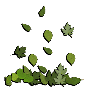Detail Daun Gif Nomer 5