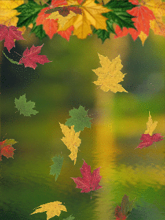 Detail Daun Gif Nomer 39