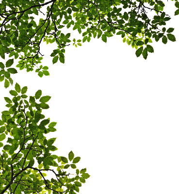 Detail Daun Gif Nomer 41