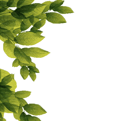 Detail Daun Gif Nomer 6