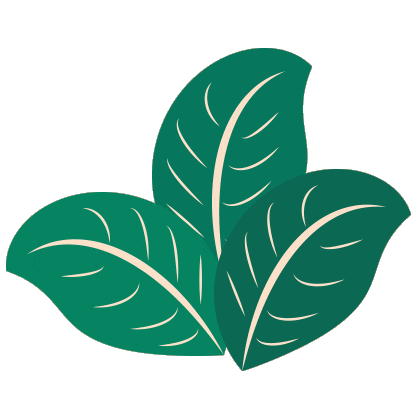 Detail Daun Gif Nomer 7