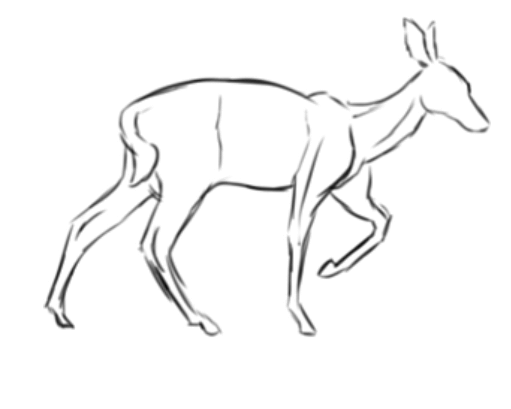 Detail Deer Walking Gif Nomer 9
