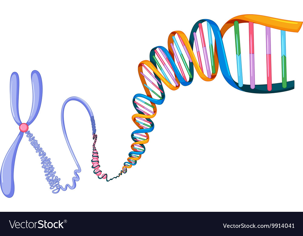 Detail Dna Symbol Nomer 11