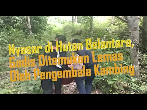 Detail Foto Hutan Belantara Nomer 27