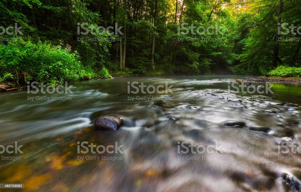 Detail Foto Hutan Indah Nomer 36