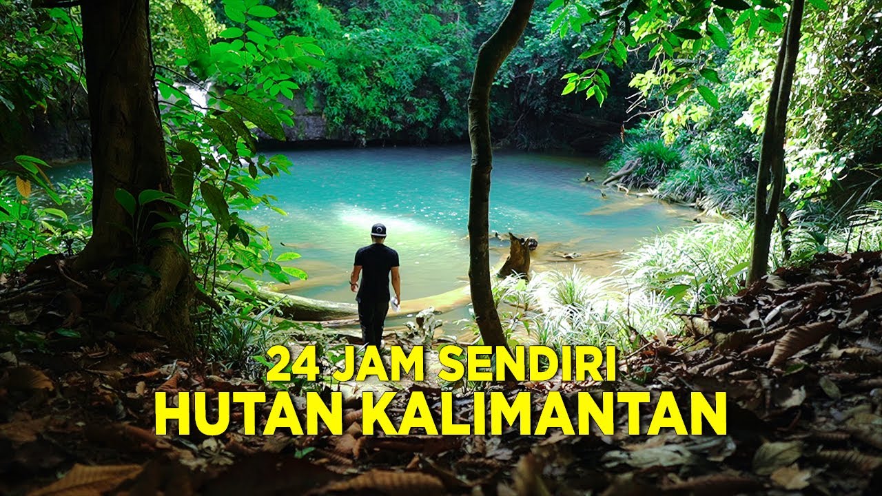 Detail Foto Hutan Kalimantan Nomer 43