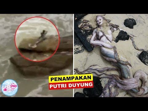 Detail Foto Ikan Duyung Nyata Nomer 45