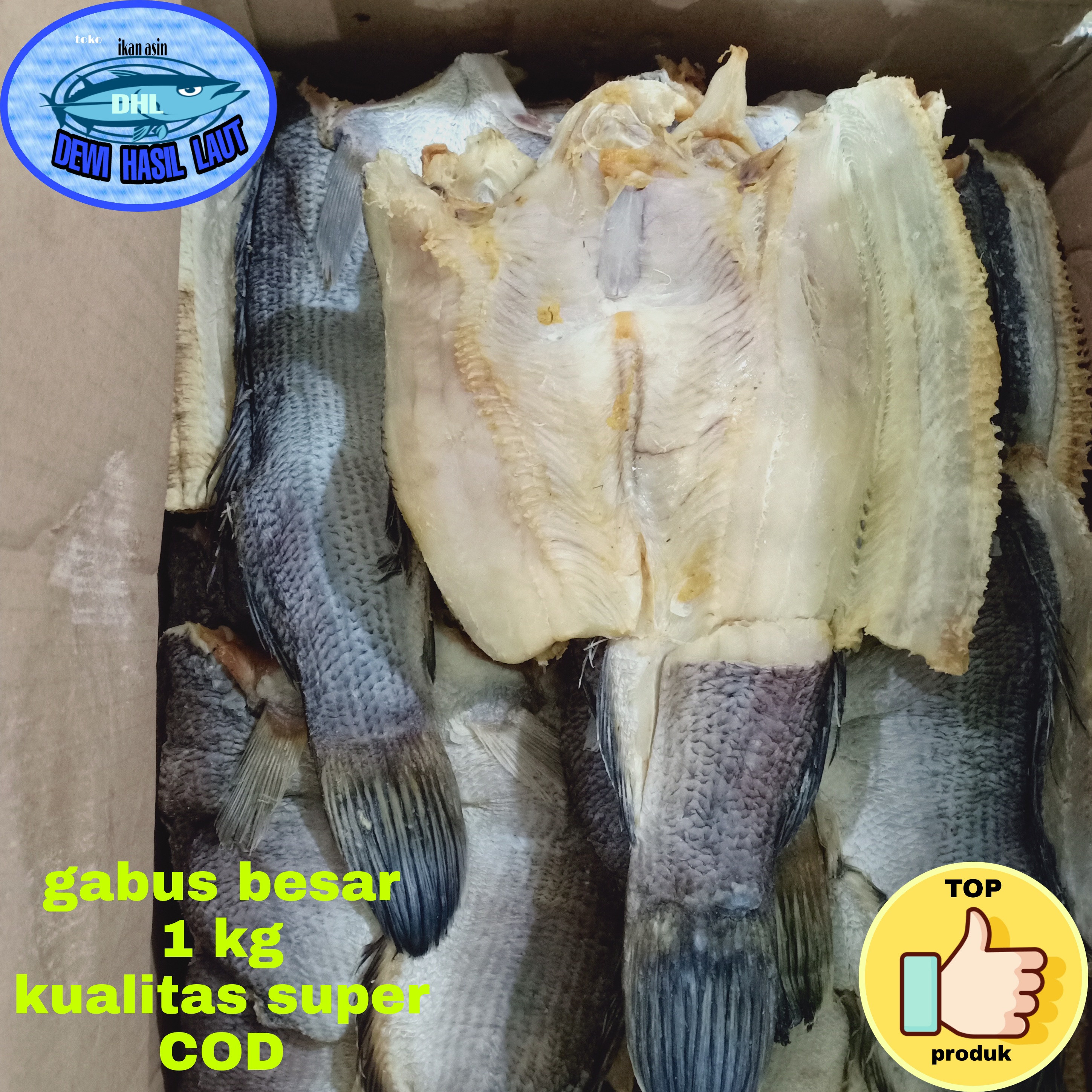 Detail Foto Ikan Gabus Besar Nomer 49