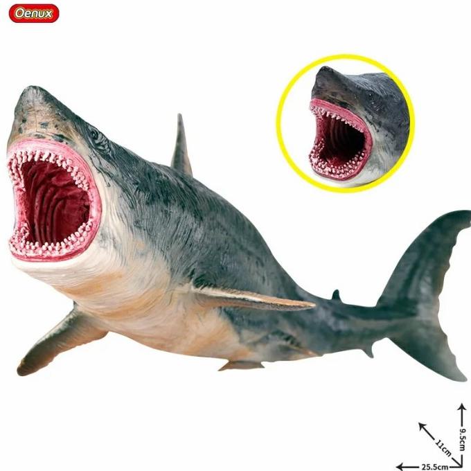 Detail Foto Ikan Hiu Megalodon Nomer 12