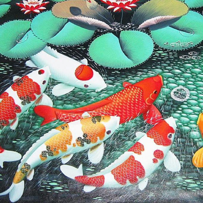 Detail Foto Ikan Koi Terindah Nomer 39