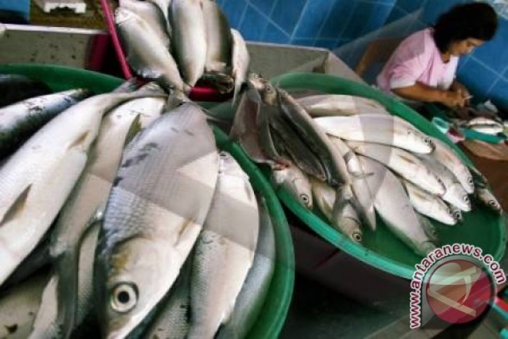 Detail Foto Ikan Laut Dalam Nomer 50