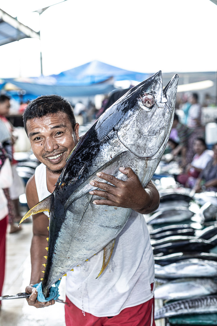 Detail Foto Ikan Tuna Terbesar Nomer 3