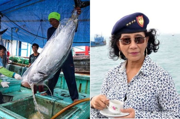 Detail Foto Ikan Tuna Terbesar Nomer 17