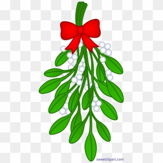 Detail Mistletoe Drawing Nomer 15