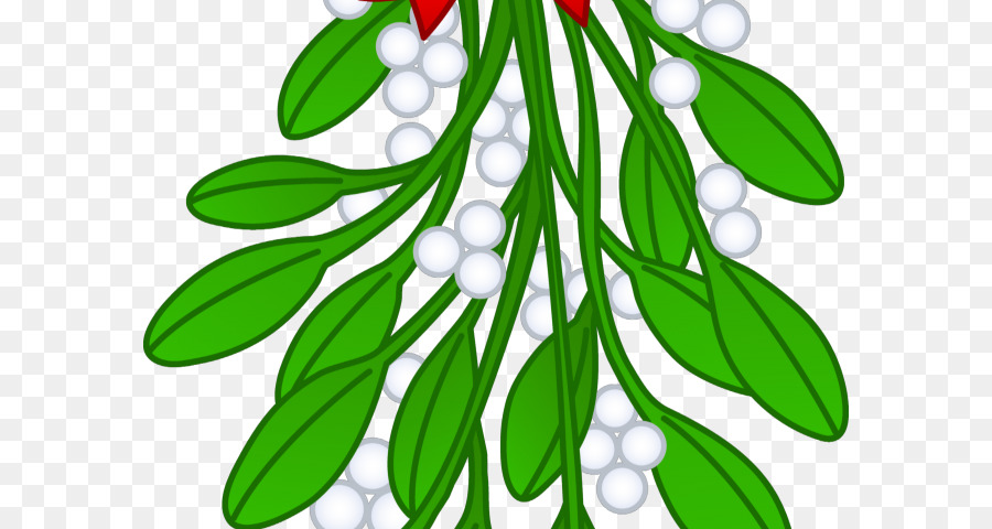 Detail Mistletoe Drawing Nomer 18