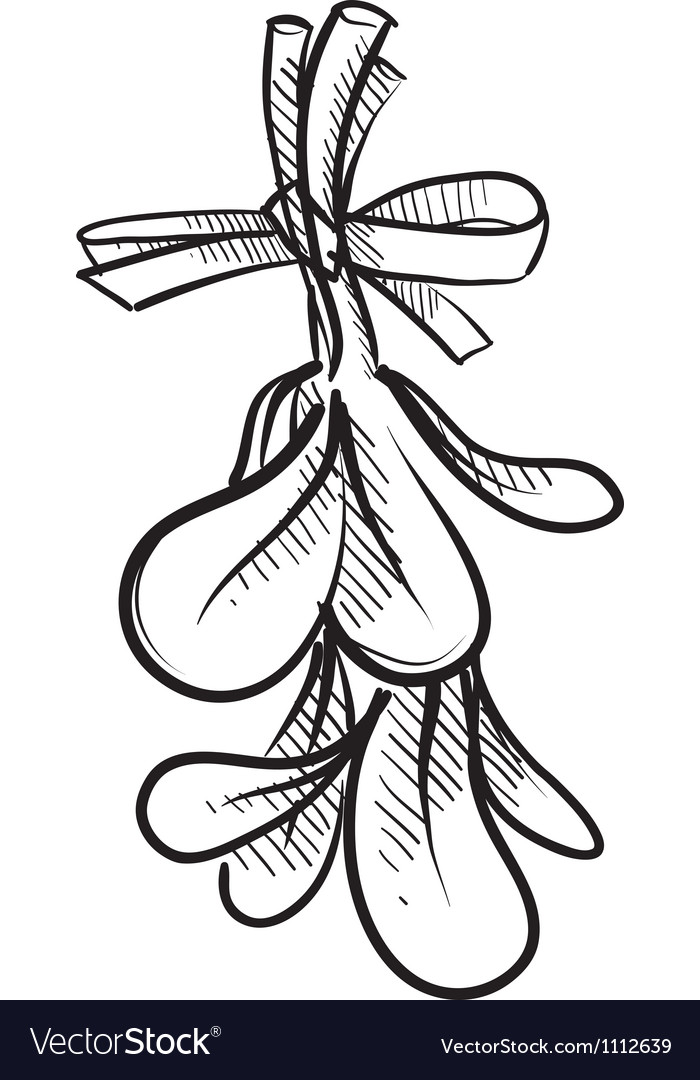 Detail Mistletoe Drawing Nomer 21