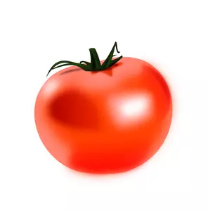 Detail Tomate Nugget Nomer 25