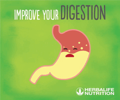 Detail Digestive System Gif Nomer 25