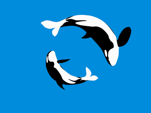 Detail Dolphin Animasi Nomer 19