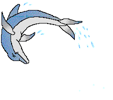 Detail Dolphin Animated Gif Nomer 4