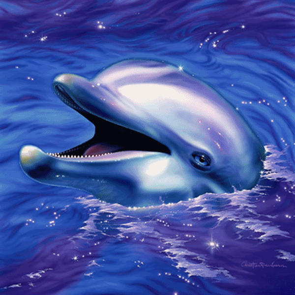 Detail Dolphin Animated Gif Nomer 34