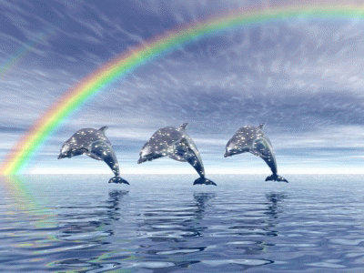 Detail Dolphin Animated Gif Nomer 46