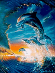 Download Dolphin Animated Gif Nomer 6