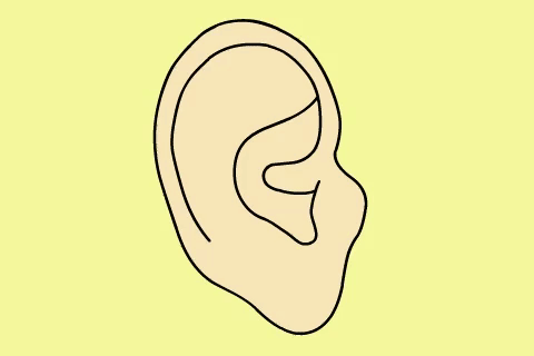 Detail Ear Gif Nomer 13