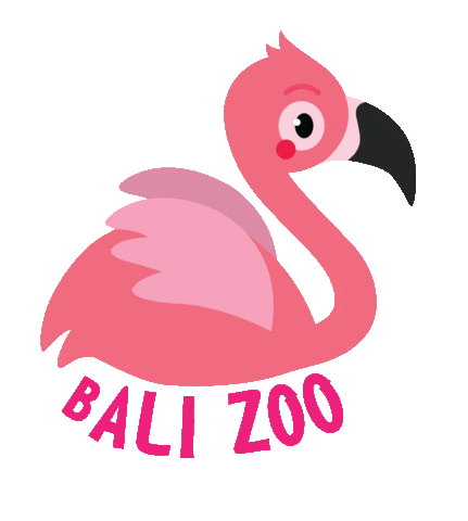 Detail Flamingo Kartun Nomer 28