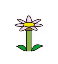 Detail Flower Animasi Nomer 34