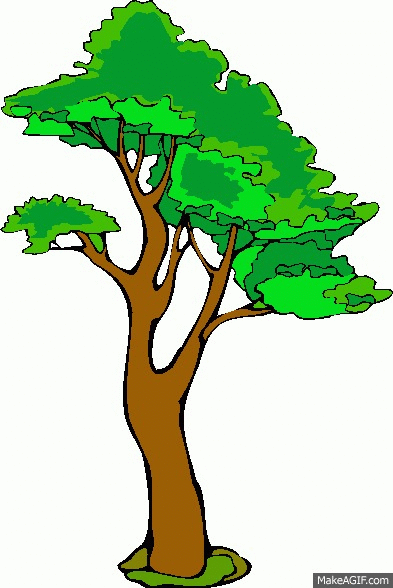 Foto Pohon Animasi - KibrisPDR