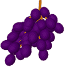 Gambar Anggur Kartun - KibrisPDR