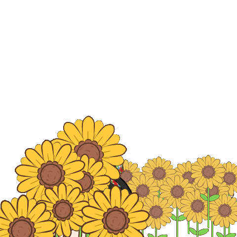 Detail Gambar Animasi Bunga Matahari Nomer 38