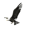 Detail Gambar Animasi Burung Garuda Nomer 45