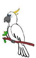Detail Gambar Animasi Burung Merpati Nomer 21
