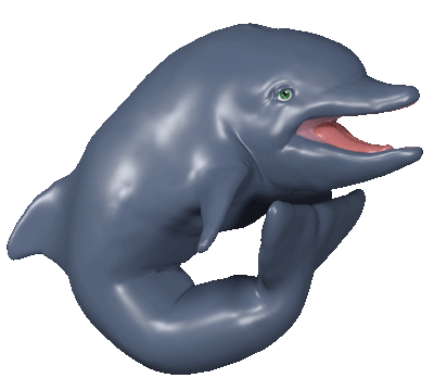 Detail Gambar Animasi Dolphin Nomer 27